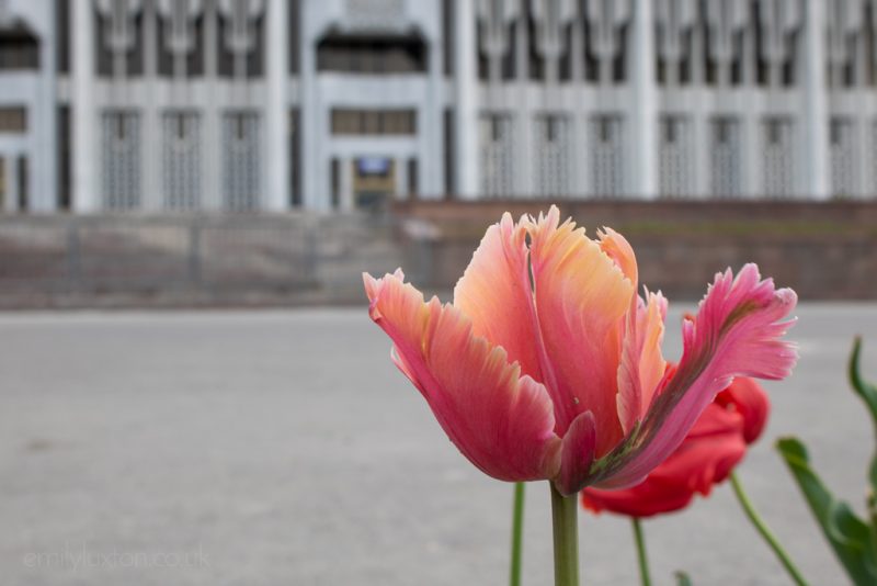 Uzbekistan Travel in Spring