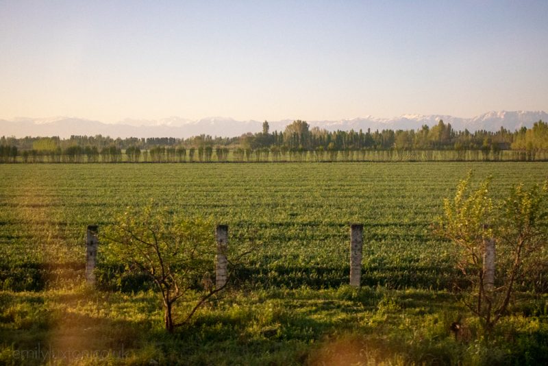 Uzbekistan Train Travel