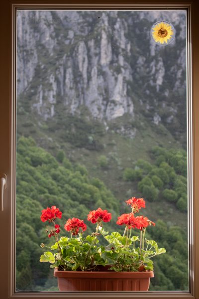 Rifugio Nino Pernici