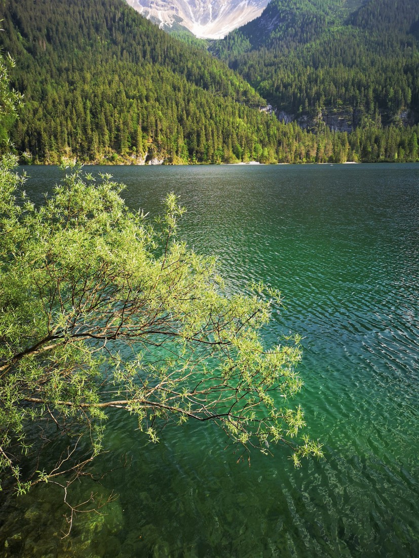 Tovel Lake - Trentino Italy