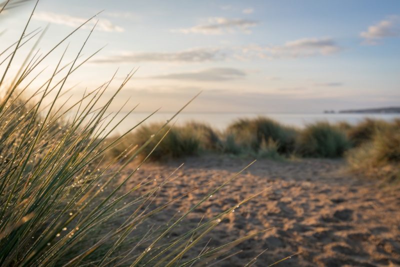 Best Dorset Beaches - Studland