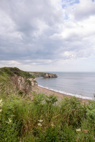 View of Nose's Point in Seaham with long greass in the foreground and a shingle beach below with the grey rocky headland on the far side of the bay