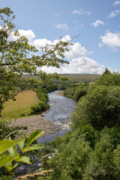 Winding river between lush green countryside in the Durham Dales