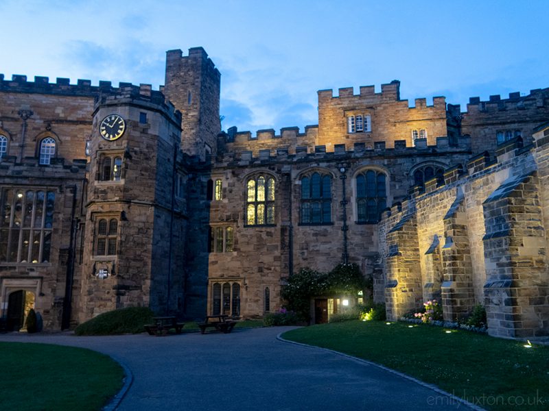 Part of a brown stone castle facade with turrets at night