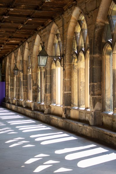 cloisters inside a cathedral with a row of tall arched windows carved into a yellow-brown stone wall, each window is casing a patch of light onto the stone floor. 