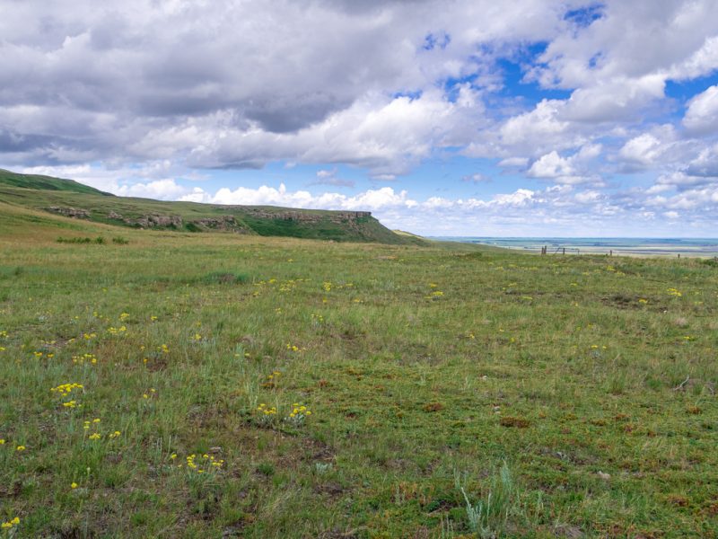 Head Smashed in Buffalo Jump Alberta Canada