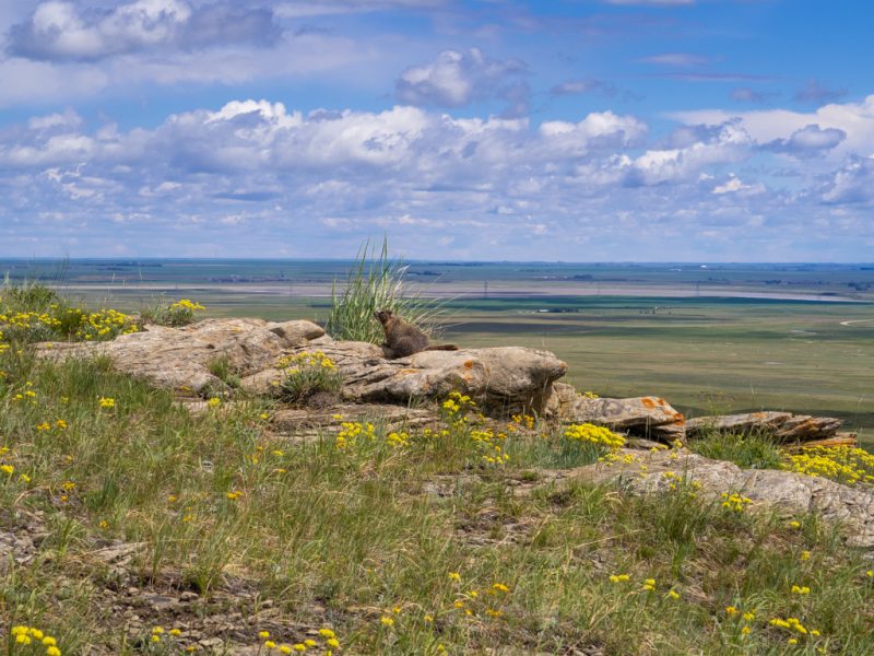 Head Smashed in Buffalo Jump Alberta Canada