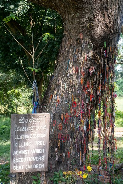 killing tree cambodia