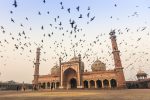 Jama Masjid with birds flocking
