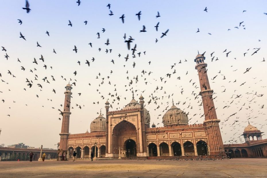 Jama Masjid with birds flocking