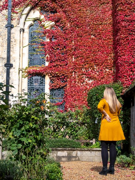 Girl in yellow dress in front of red ivy on a stone wall around a stained glass window