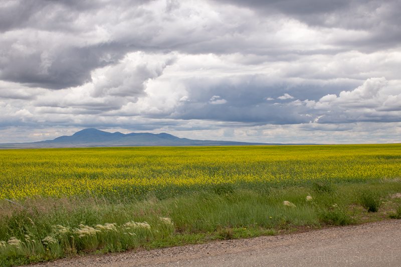 southern alberta road trip