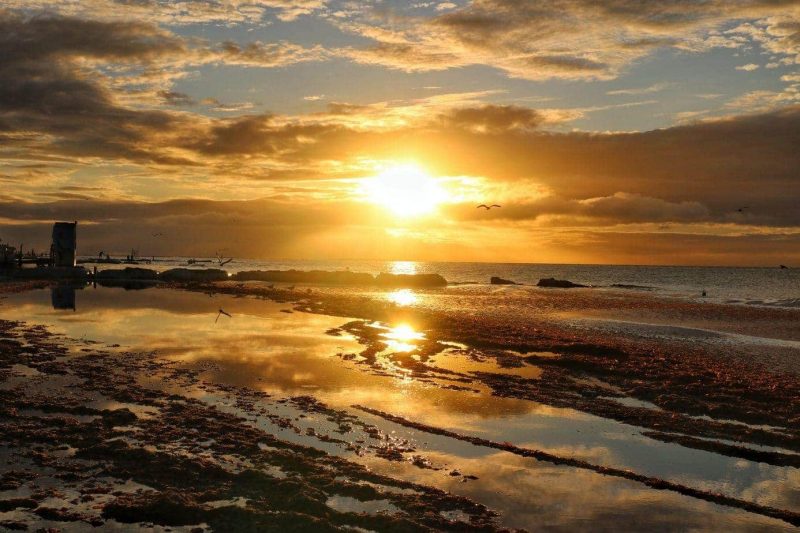sunset over the sea and reflected in shallow puddles on the beach in Holbox with a rocky seabreaker in silhouette in the background and a bird flying in front of the sunset