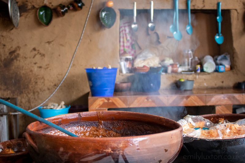 Michoacan Cuisine