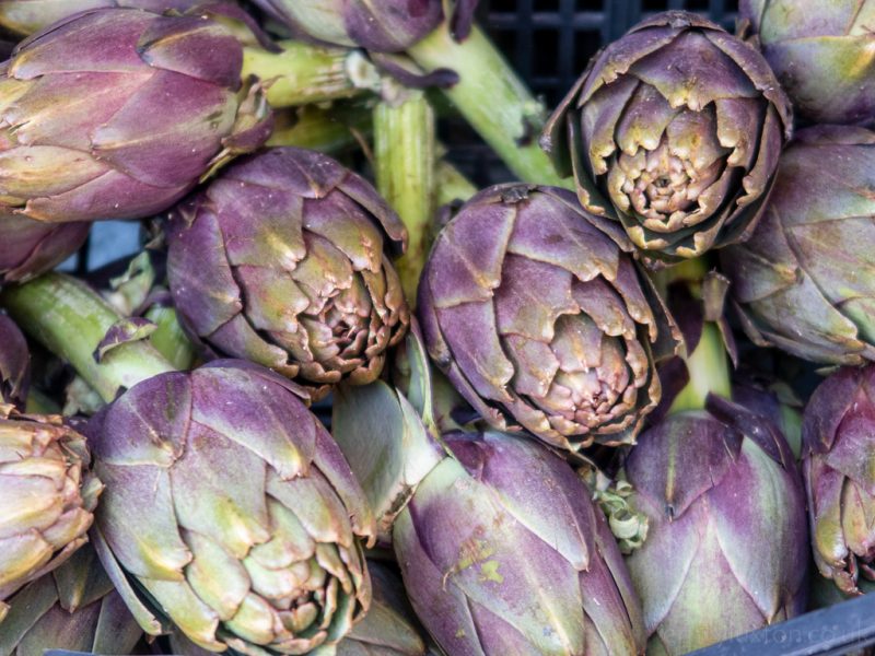 Rome Food Guide - Artichokes