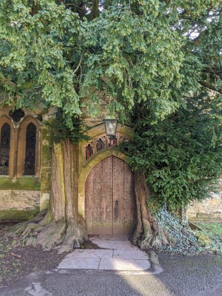 Wooden door on a stone church wall between two trees with thick trunks and lots of green leaves