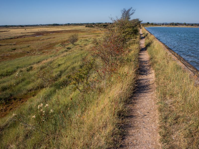 walking route on Thorney Island - perfect day trip on the English coast