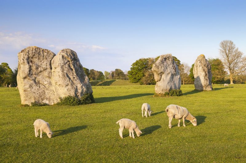 Three large grey standing stones in a feild at Avebury Stone Circle in England, with four sheep grazing in front and clear blue sky above