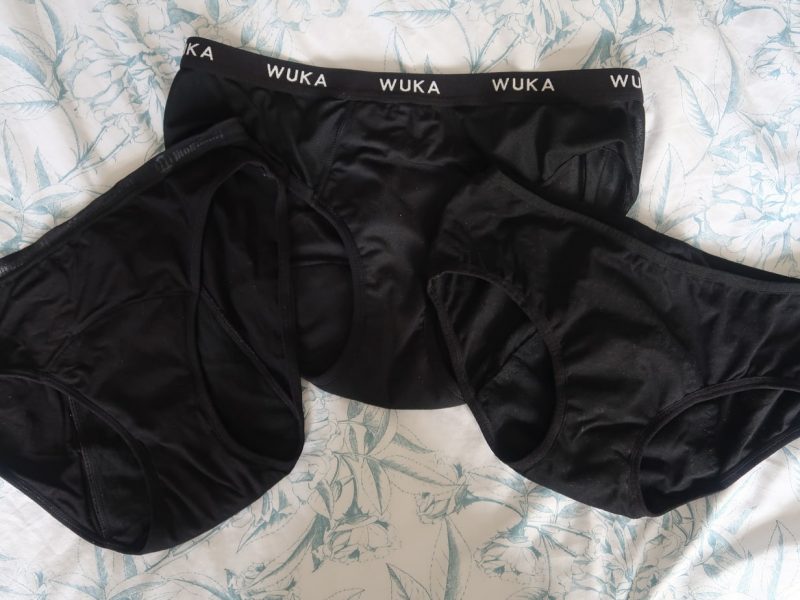 Thinx vs ModiBodi vs Flowette period pants