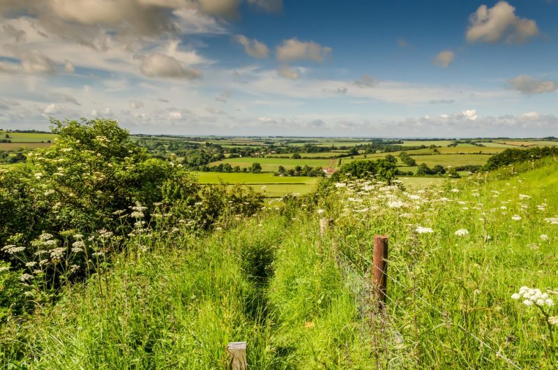 Lincolnshire Wolds England