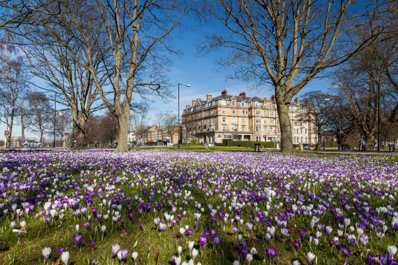 Harrogate Yorkshire England