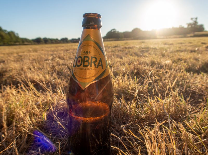 bottle of beer in grass at sunset