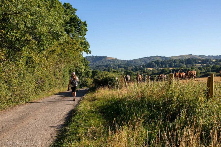 UK travel blogger Emily Luxton hiking in the South Downs England