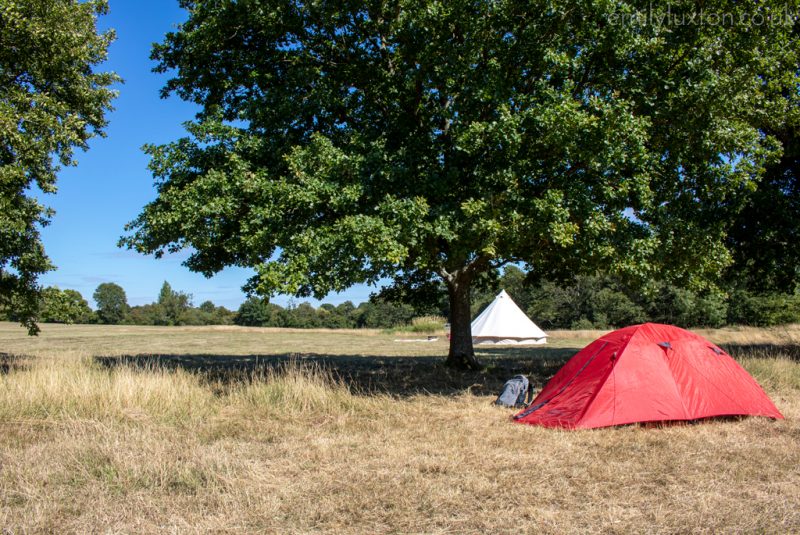 Tent at a campsite in the South Downs