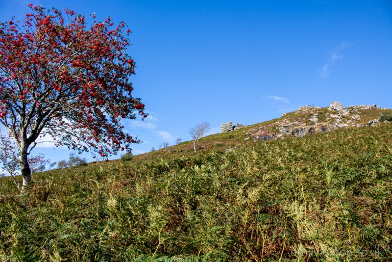 Bonehill Rocks Dartmoor