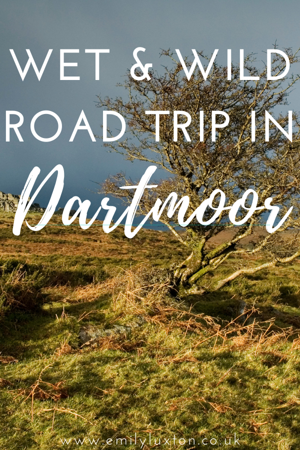 Dartmoor Road Trip