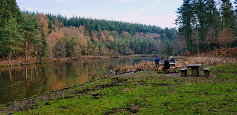 A wide, calm river in the Forest of Dean in England taken at Autumn with trees with red leaves amonst the green pines on the far bank of the river. A small group of people wearing raincoats are sitting on a wooden picnic bench on the closer bank looking at the river. 