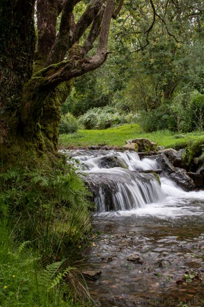 Waterfall Dartmoor