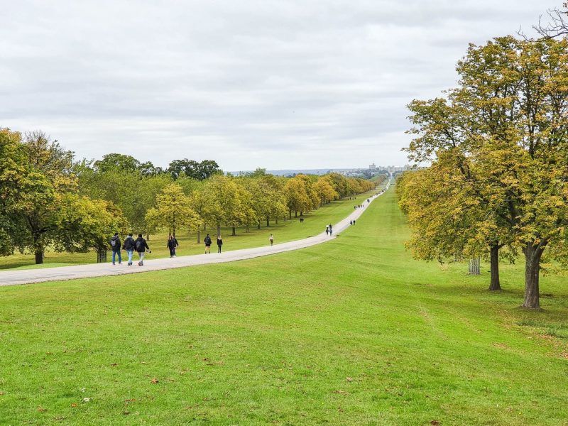 People walking along the stone path 
leading towards Windsor Castle in England with Autumn coloured trees in rows on either side and neatly mowed grass lining the path. The sky overhead is overcast and grey. 