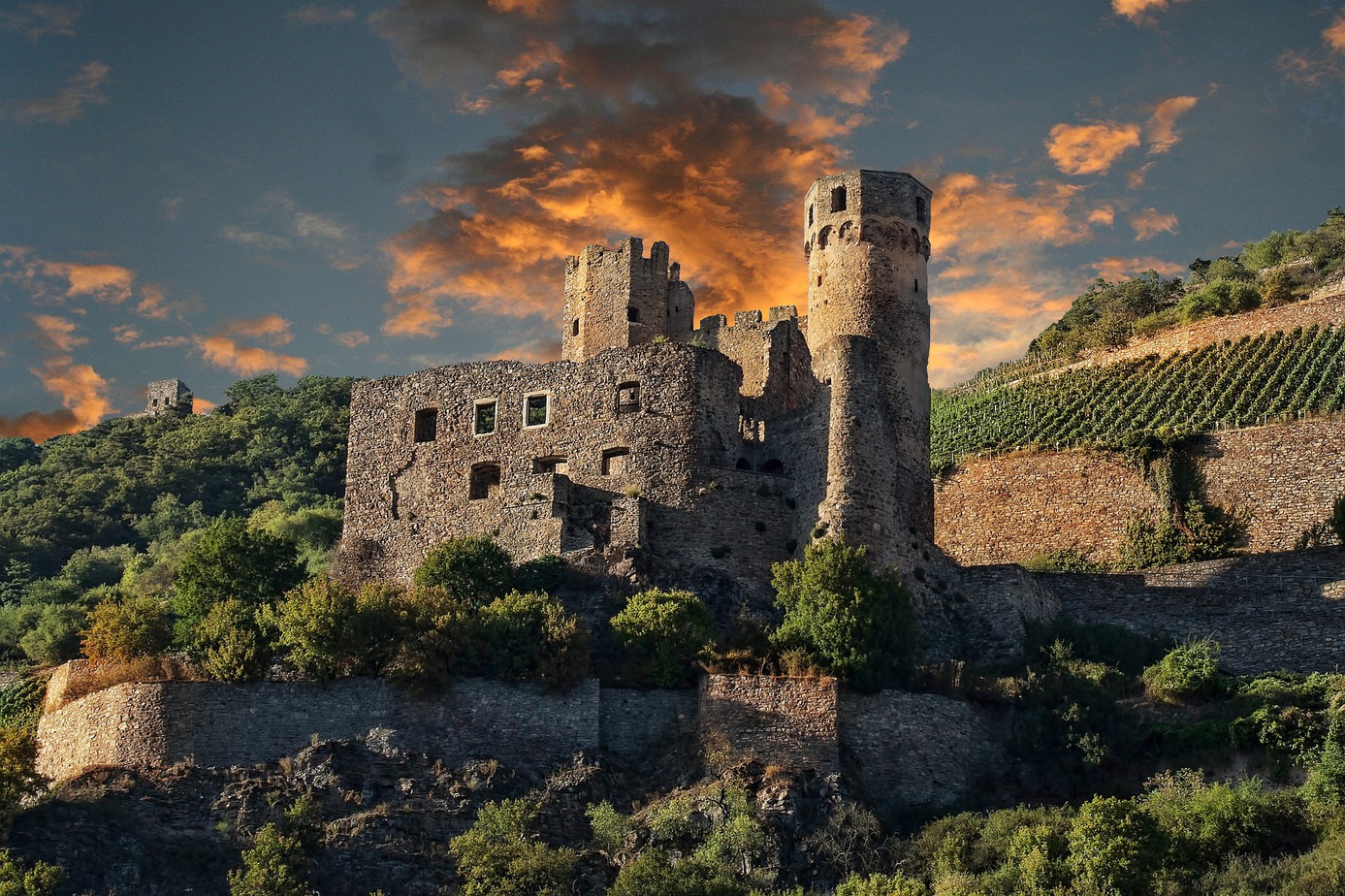 Rhine Castle in Germany, a ruined castle built from grey stone with two towers on the side of a hill with vineyards and trees behind