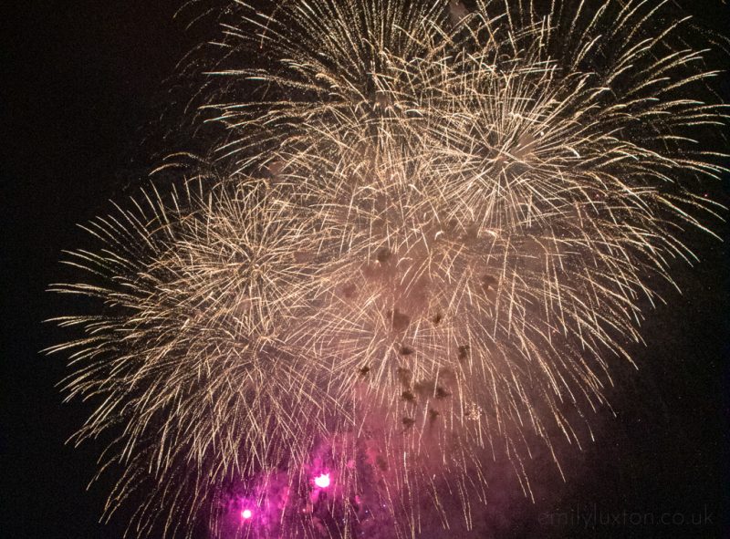 Edogawa Fireworks Festival Tokyo