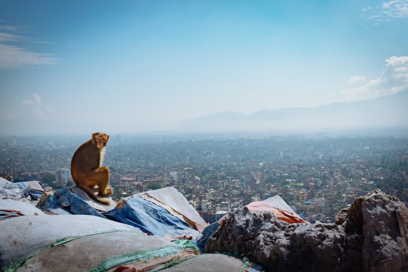 View of Kathmandu from the Swayambhunath Monkey Temple, one of the best places to visit in the city.