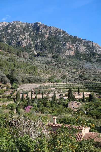 9 Fun and Unusual Things to do in Mallorca