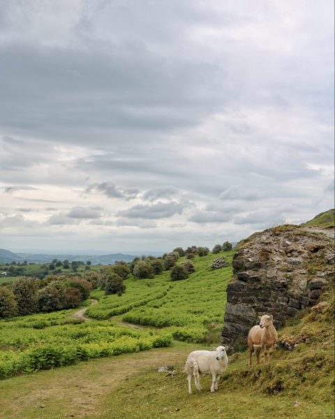 Llangattock Escarpment Brecon Beacons Wales