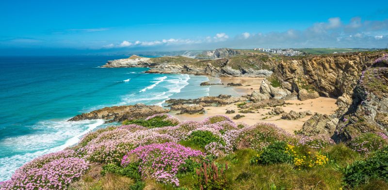 Looking down from  clifftop at Newquay Beach in Cornwall with purple heather in the foreground and rocky cliffs in the background, UK adventure bucket list