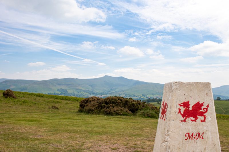 a stone marker with a red welsh dragon on it in a grassy field with green mountains in the distance 