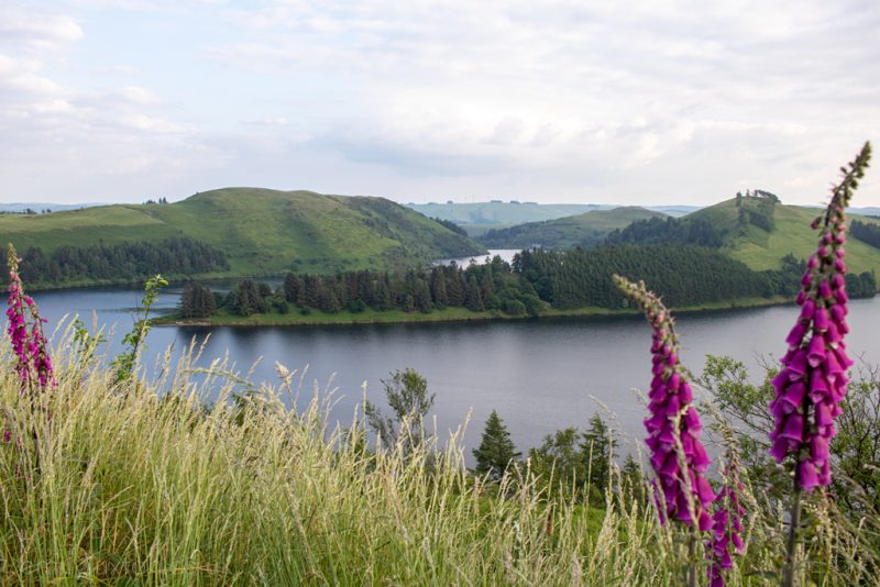 Clwedog Reservoir Viewpoint 