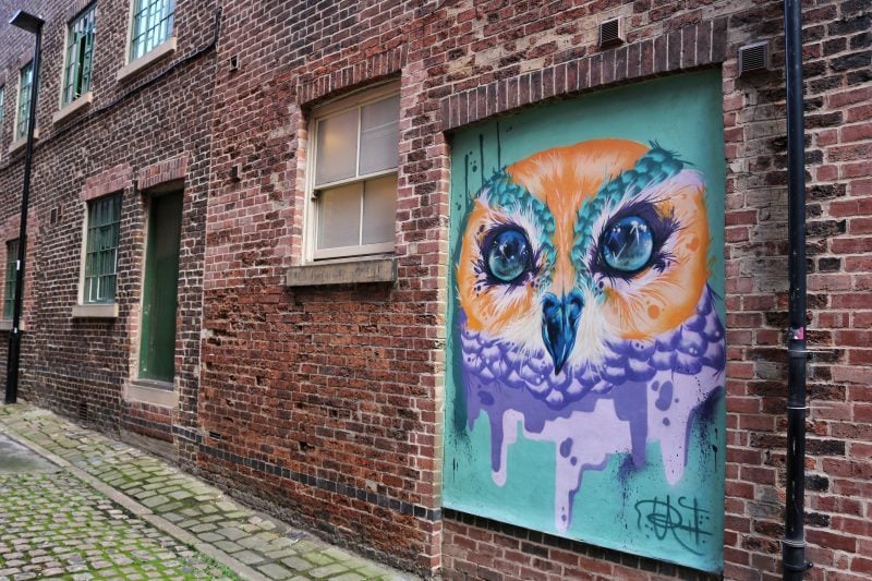 street art purple and turqouise mural of an Owl on a red brick wall in sheffield