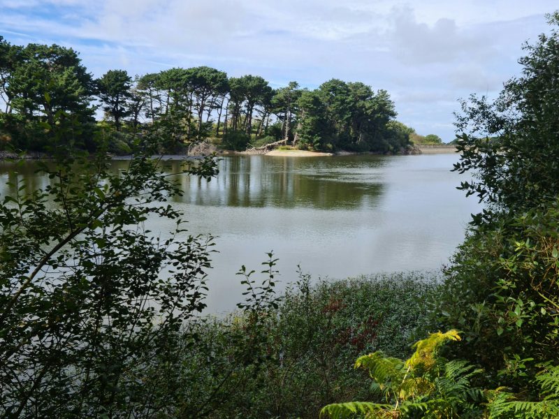 St Saviours Reservoir Guernsey