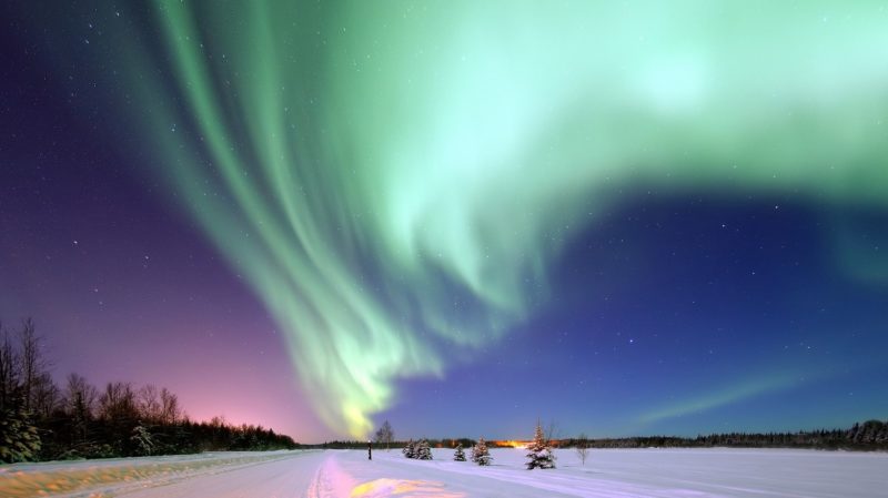 aurora borealis green swirling lights in the night sky above a field of snow in Alaska with some shadowy pine trees to the left