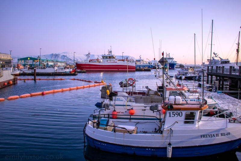 Boats in the still blue waters of Reykjavik Harbour in winter with a pink dawn sky and a large snow covered hill in the background