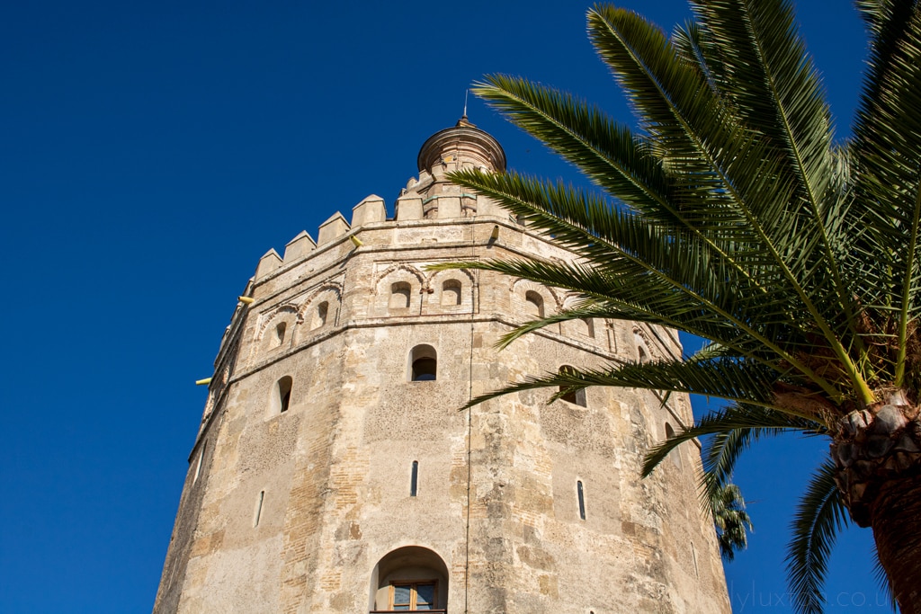 Looking up at a tower in and a palm tree in Seville with a clear blue winter sky behind