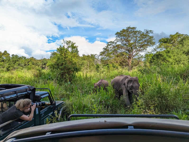 girl with urly blonde hair leaning out of a jeep holding a long lens to take a photo of an elephant with greenery and trees in background
