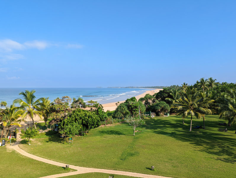 looking out from a balcony at a small green field lined with palm trees with a sandy beach beyond in Bentota Sri Lanka