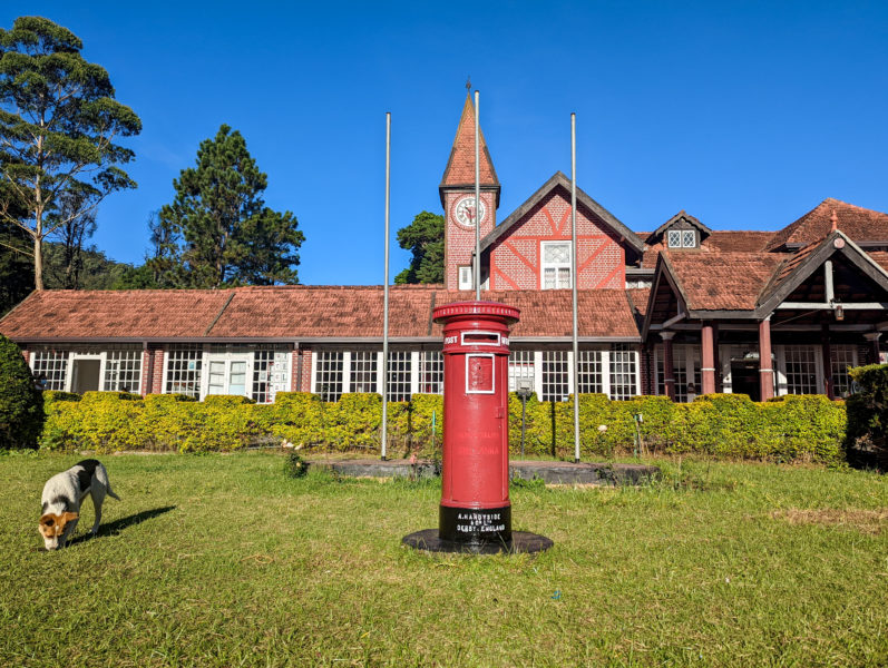 a dog on grass next to a red post box with a rd brick building in the background in Nuwara Eliya Sri Lanka