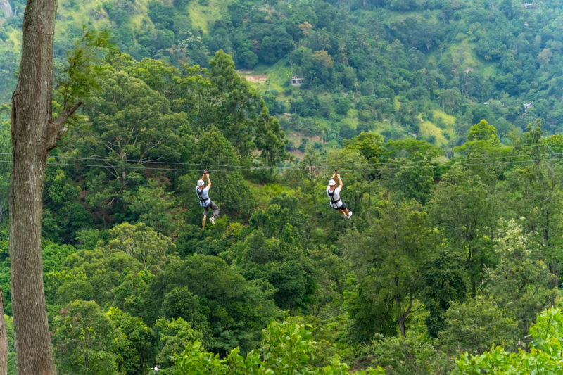 two men wearing white t shirts and white helmets holding a zip wire suspended over a thick green forest